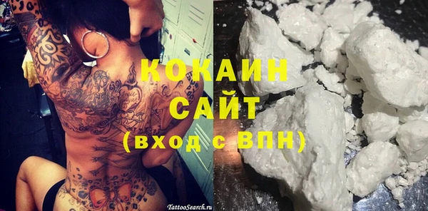 гидра Володарск