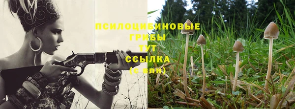 твердый Волосово