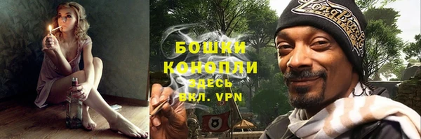гидра Володарск