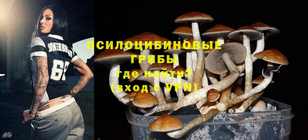 гидропоника Верхнеуральск