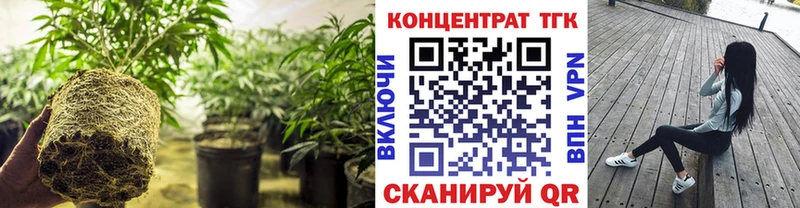 Дистиллят ТГК концентрат  Купить  Кашира 