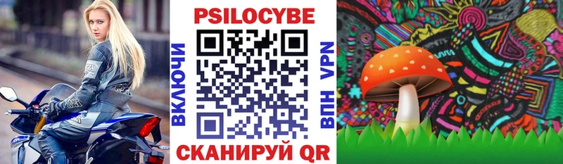 Псилоцибиновые грибы Psilocybe  Купить закладки  Кашира 